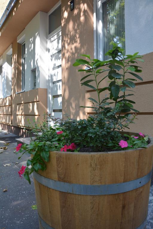 Bodza Apartmanok Eger Exterior photo